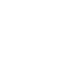 white icon logo